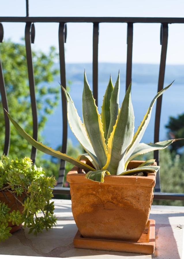 Villa Anima, Stanici, Near Omis エクステリア 写真